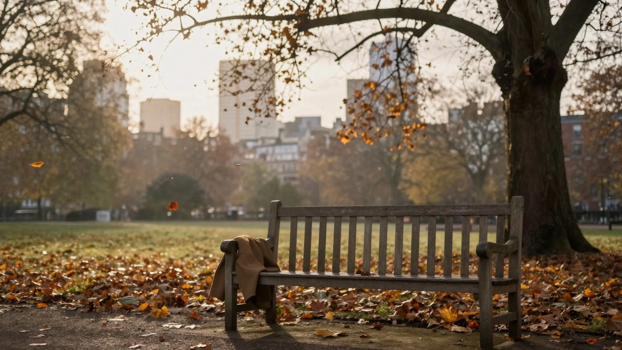 An empty park bench in London at golden hour, surrounded by autumn leaves.